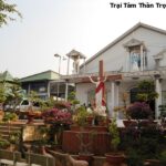 Nỗi trăn trở của Chúa