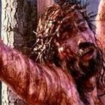 Vấn đề đau khổ