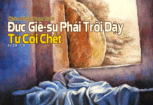 Chúa nhật Lễ Phục Sinh Năm C_2013