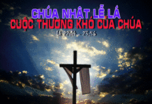 Chúa Nhật Lễ Lá Năm C_2013