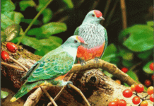 Mười điều “không thể”