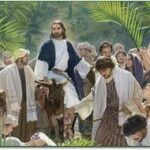 Hoan Hô – Đả Đảo (Chúa Nhật Lễ Lá_C)