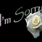 Sai lỗi và xin lỗi