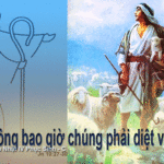 Chúa Nhật 4 Phục Sinh Năm C_2013