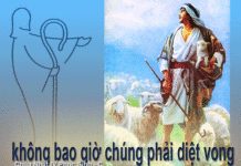 Chúa Nhật 4 Phục Sinh Năm C_2013
