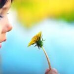 Tứ Đức trong thời đại hiện nay