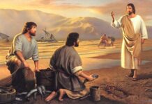 Nhận định ơn gọi tu trì