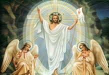 Chúa Giêsu là Trạng sư của chúng ta