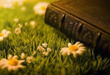 Hôm Qua – Hôm Nay – Ngày Mai