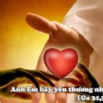 Các bài suy niệm Chúa Nhật 5 Phục Sinh Năm C