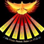 Đấng Bảo Trợ (Lễ Hiện Xuống, năm C)