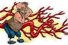 Não và đời sống