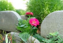 Đừng mong cuộc sống không có khó khăn…