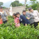 “Đi một ngày đàng…”