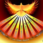 Chúa Thánh Thần, linh hồn của đời sống kitô hữu