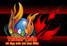 Chúa Nhật 6 Phục Sinh Năm C_2013.