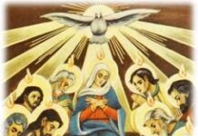 Vui học Thánh kinh – Lễ Chúa Thánh Thần Hiện Xuống