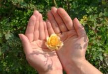 Tùy vào bàn tay của ai