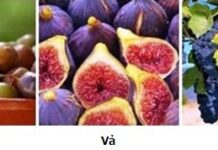 Ăn uống hợp lý với Chúa Giêsu