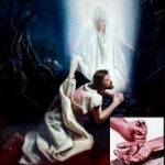 Bể khổ trần ai ! (Chúa nhật XII Thường niên, Năm C)