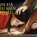 Chúa Nhật 11 Thường Niên Năm C_2013