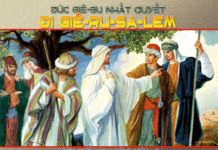 Chúa Nhật 13 Thường niên Năm C_2013