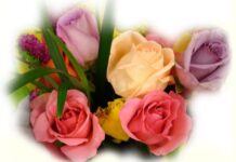 Trái tim Thiên Chúa – Trái tim người cha