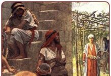 Tảng đá góc (Thứ Hai Tuần 9 Thường niên)