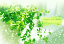 “Dù đời không yêu ta, vẫn cứ yêu thương hoài…!”