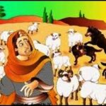 Dấn thân (Chúa nhật XIV TN, năm C)