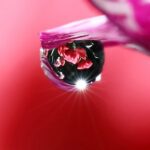 Lạy Chúa, Con Đây! (34)