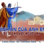 Chúa Nhật 14 Thường niên năm C_2013