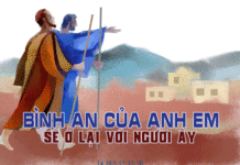 Chúa Nhật 14 Thường niên năm C_2013