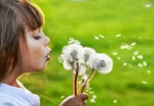 Bạn xin gì và đời cho gì ?