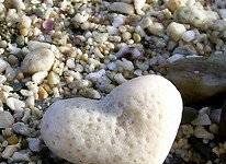 Cuộc Sống Là Những Va Đập