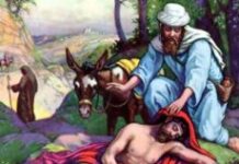 Hãy đi và làm như vậy (Chúa nhật 15 Thường niên)