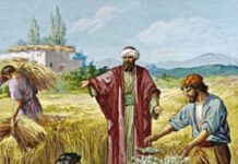 Chói lọi như mặt trời (Thứ Ba Tuần 17 Thường niên)