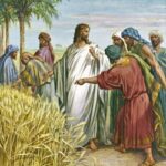 Ta muốn lòng nhân (Thứ Sáu Tuần 15 Thường niên)