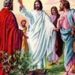 Anh em hãy ra đi (Chúa nhật 14 thường niên năm C)