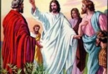 Anh em hãy ra đi (Chúa nhật 14 thường niên năm C)