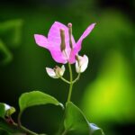 Lạy Chúa, Con Đây! (42)