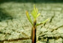 Đừng vội bỏ cuộc