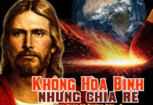 Chúa Nhật 20 Thường Niên Năm C_2013