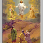 Y phục Người trở nên trắng tinh chói loà (Thứ Bảy Ngày 6/8: Chúa Hiển Dung – Năm C)