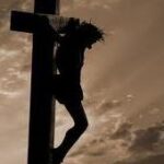Cây Thập Giá