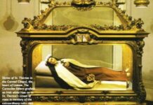 Bông hoa nhỏ vĩ đại