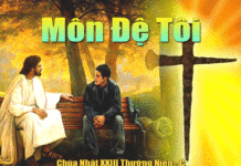 Chúa Nhật 23 Thường Niên Năm C