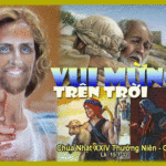 Chúa Nhật 24 Thường Niên Năm C