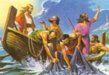 Từ nay anh sẽ bắt người (Thứ Năm Tuần 22 Thường niên)
