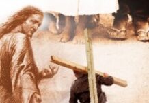 Từ bỏ hết (Chúa nhật 23 Thường niên Năm C)